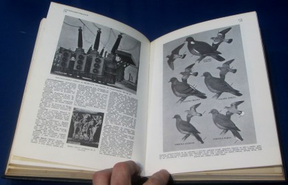 MODERNA ENCICLOPEDIA ILUSTRADA (5)